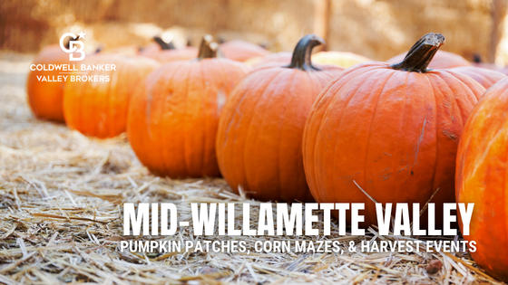 Mid-Willamette Valley: Pumpkin Patches, Corn Mazes, & Harvest Events | Valley Brokers