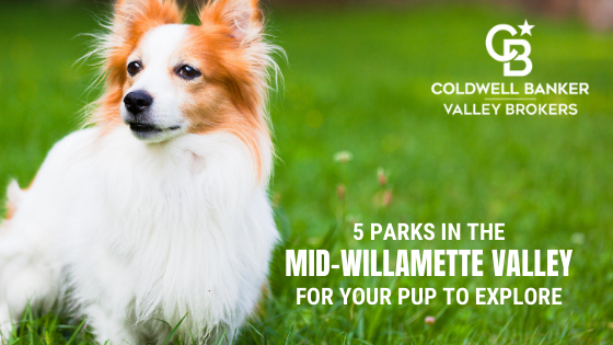 Dog Parks Willamette Valley