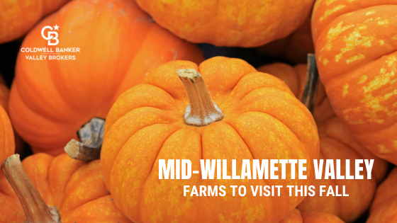 Farms in Willamette Valley